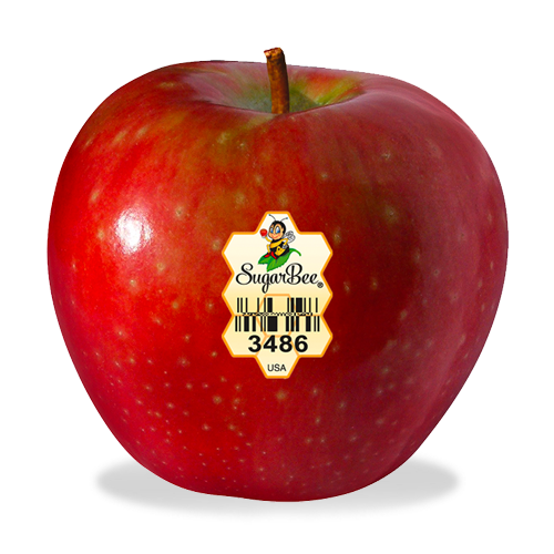 SUGAR BEE APPLES