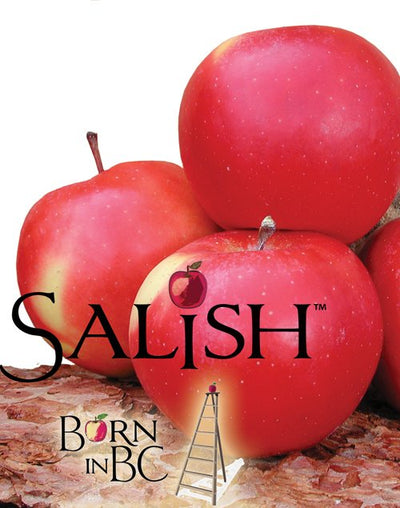 SALISH APPLES