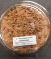 TURTLE CHEESECAKE [1 ea]