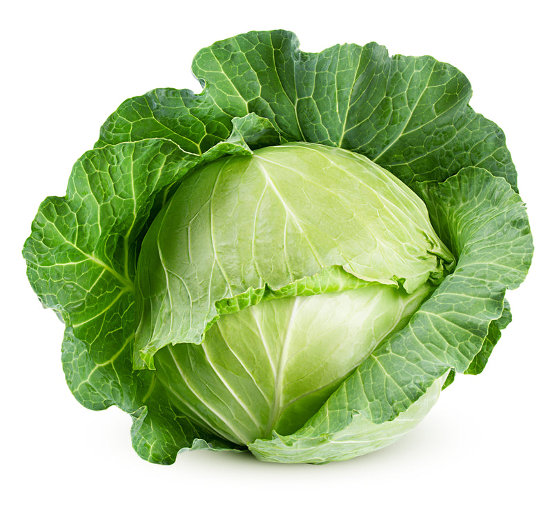 ORGANIC GREEN CABBAGE