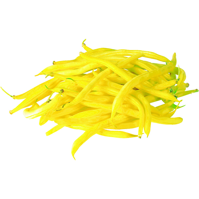 ORGANIC YELLOW BEANS