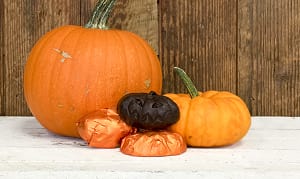 DENMAN DARK CHOC PUMPKINS [25 g]