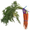 BUNCH ORGANIC CARROT (CALI) [1 EACH]