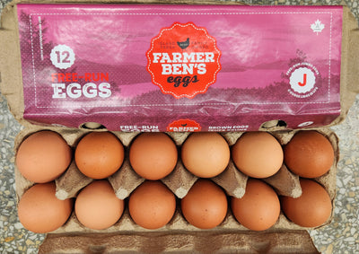 FARMER BENS JUMBO FREE RUN EGG [12 pkg]