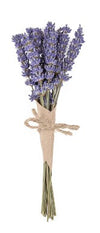 PROVENCE LAVENDER
