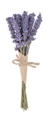 PROVENCE LAVENDER