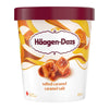 HAAGEN DAZS SALTED CARAMEL [450 ml]