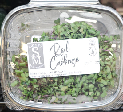 SIDNEY MICROGREENS CABBAGE [1 ea]
