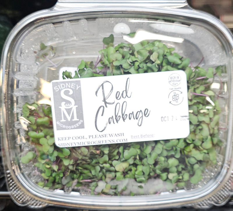 SIDNEY MICROGREENS CABBAGE [1 ea]