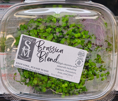SIDNEY MICROGREENS BLEND [1 ea]