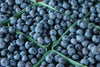 GOBIND FARMS BLUEBERRIES [1 ea]