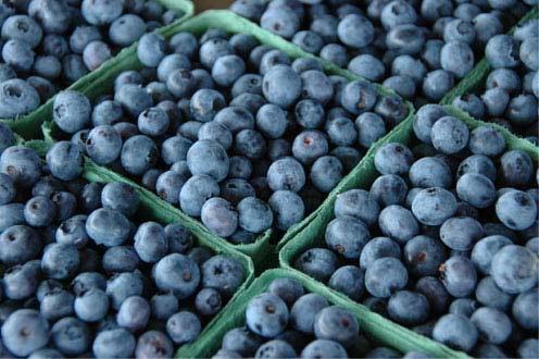 GOBIND FARMS BLUEBERRIES [1 ea]