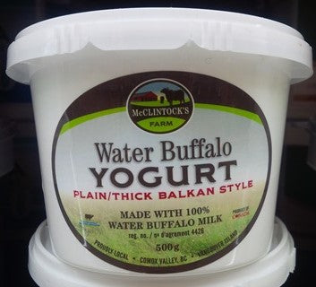 WATER BUFFALO YOGURT [500 G]