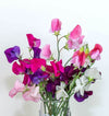 SWEET PEAS