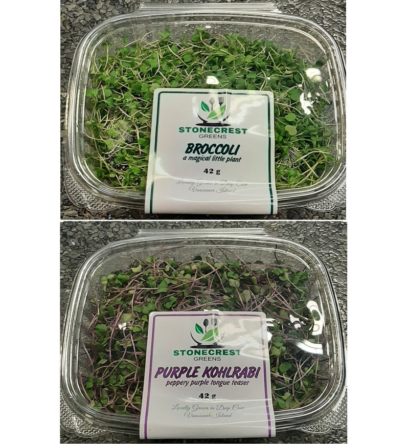 STONECREST PURPLE KOHLRABI [27 g]