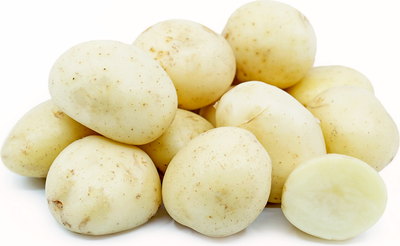 WHITE POTATO (BC)