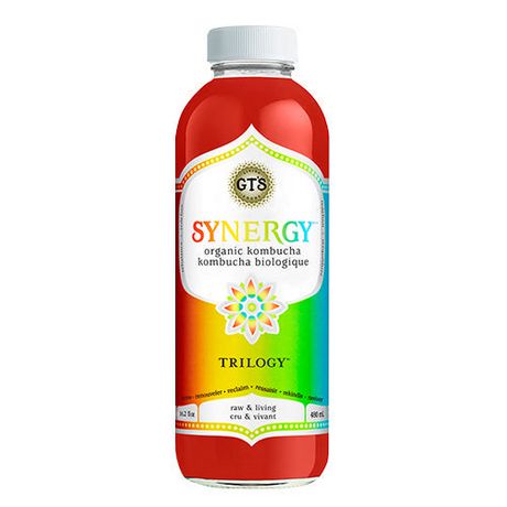 GTS KOMBUCHA ASST [480 ML]