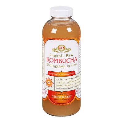 GTS ORG KOMBUCHA GINGERADE [480 ML]