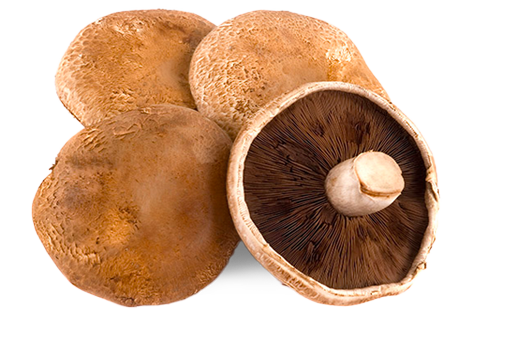 PORTABELLA MUSHROOMS (BC)