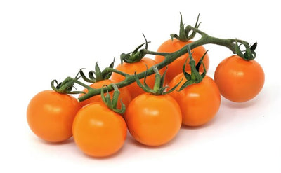 ORANGE CHERRY TOMATO ON VINE