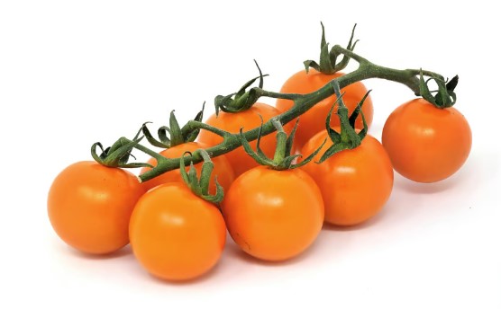 ORANGE CHERRY TOMATO ON VINE